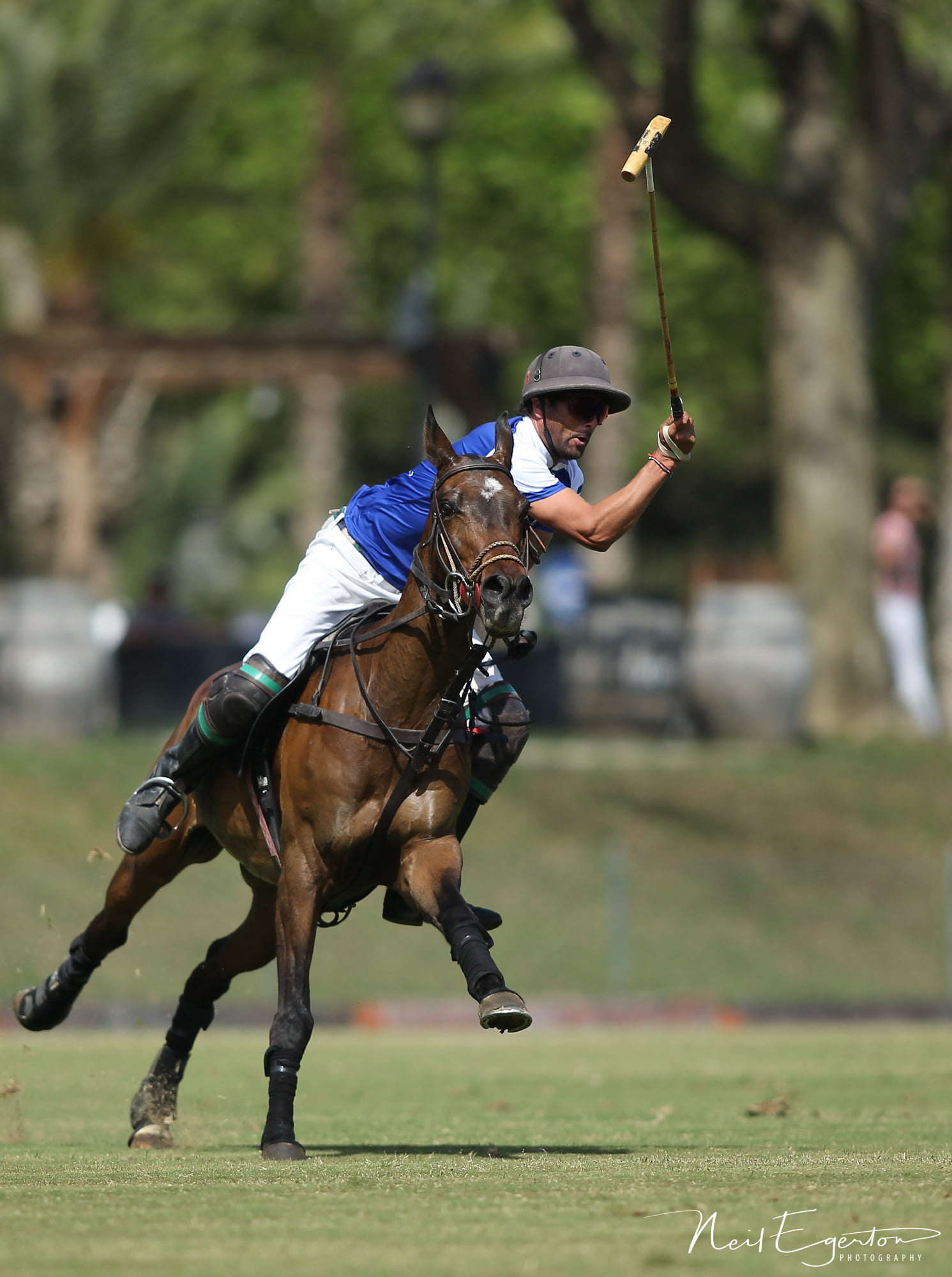 Torneo de Polo La Quinta 2024 en Puente de Hierro – Patrocinado por Open Frontiers Real Estate