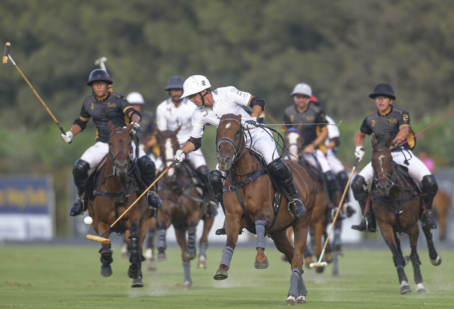 Polo in Sotogrande: Its History, and Where to Watch It, Learn It and Play It